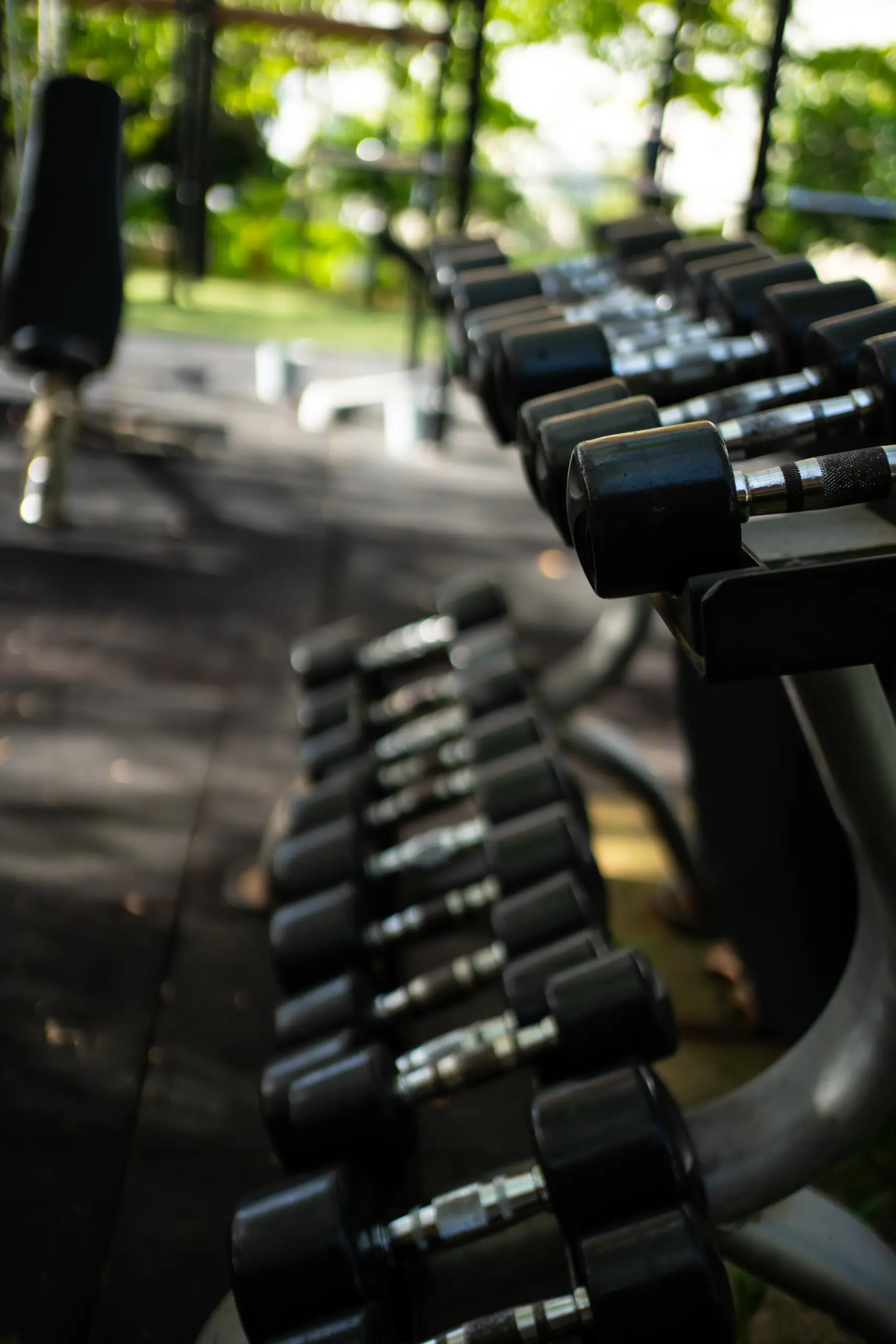 Sobre mí - Zhivko Dimitrov